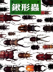 鍬形蟲
