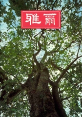 爾雅