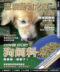 流浪動物之家