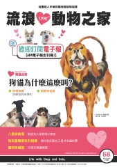 流浪動物之家