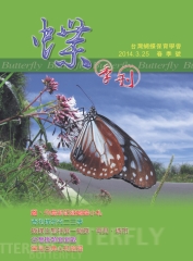 蝶
