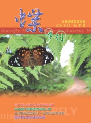 蝶