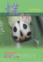 蝶