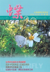 蝶