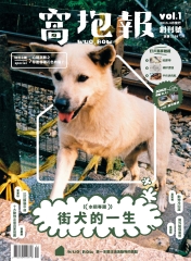 窩抱報