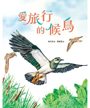 書封 愛旅行的候鳥